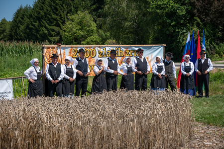 Dobrovnik - 2000 semen - ZETEV 2025-1174635